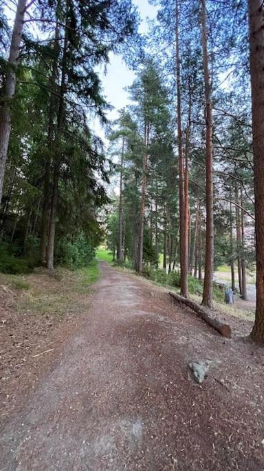 Attraktiv & Smart Funkishytte Pa Nes Strandhager. Årnes Zewnętrze zdjęcie